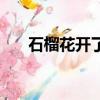 石榴花开了红的像什么（石榴花开了）