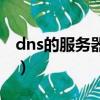 dns的服务器地址设置（dns服务器怎么设置）