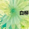 白柳是哪部书人物（白柳）