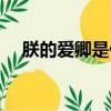朕的爱卿是什么意思（爱卿是什么意思）