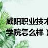 咸阳职业技术学院怎么样知乎（咸阳职业技术学院怎么样）