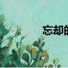忘却的英雄2（忘却的英雄）