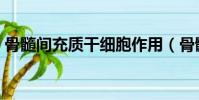 骨髓间充质干细胞作用(骨髓间充质干细胞)