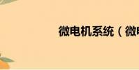 微电机系统(微电机)