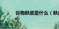 谷物麸皮是什么(麸皮是什么)