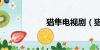 猎隼电视剧(猎隼)