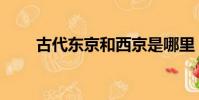 古代东京和西京是哪里(古代东京)