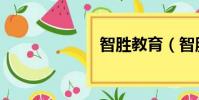 智胜教育(智胜)