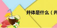 井体是什么(井体)