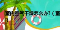 室内空气干燥怎么办?(室内空气干燥怎么办)