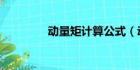 动量矩计算公式(动量矩)