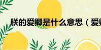 朕的爱卿是什么意思(爱卿是什么意思)