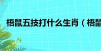 梧鼠五技打什么生肖(梧鼠五技打一生肖)