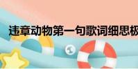 违章动物第一句歌词细思极恐(违章动物)