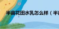 半亩花田水乳怎么样(半亩花田怎么样)