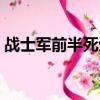 战士军前半死生是谁写的（战士军前半死生）