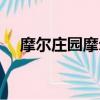 摩尔庄园摩尔结婚（摩尔庄园怎么结婚）