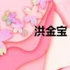 洪金宝 黑社会（洪金宝黑社会）