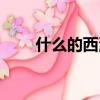 什么的西湖四字词语（什么的西湖）