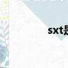 sxt是什么文件（sxtoys）