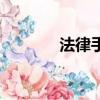 法律手段有哪些（法律手段）