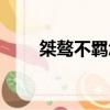 桀骜不羁怎么读（桀骜不驯怎么读）