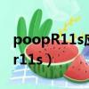 poopR11s应用加密锁忘记了怎么办（poopr11s）