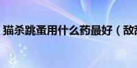 猫杀跳蚤用什么药最好(敌敌畏能杀跳蚤吗)