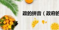 政的拼音(政府的拼音)