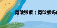 勇敢猴猴(勇敢猴妈虎口救子)
