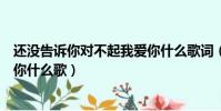 还没告诉你对不起我爱你什么歌词(还没告诉你对不起我爱你什么歌)