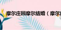 摩尔庄园摩尔结婚(摩尔庄园怎么结婚)
