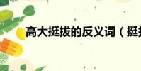 高大挺拔的反义词(挺拔的反义词)