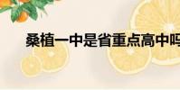 桑植一中是省重点高中吗(桑植一中)