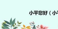小平您好(小平)
