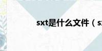 sxt是什么文件(sxtoys)