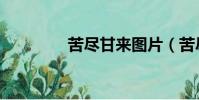 苦尽甘来图片(苦尽甘来)
