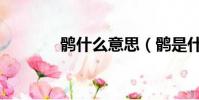 鹘什么意思(鹘是什么动物)