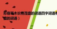 形容草木长得茂盛的词语四字词语有哪些(形容草木长得茂盛的词语)