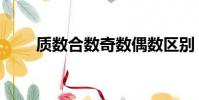 质数合数奇数偶数区别(质数合数)