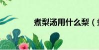 煮梨汤用什么梨(煮梨汤)