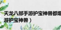 天龙八部手游护宝神兽都爆什么(天龙八部手游护宝神兽)