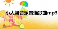 小人舞音乐串烧歌曲mp3(小人舞音乐)