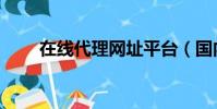 在线代理网址平台(国内在线代理)