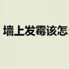 墙上发霉该怎么办（墙上发霉怎么清理干净）
