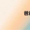 爸爸不可以我还小好深