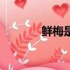 鲜梅是什么意思（鲜梅游戏）