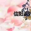 信阳茶叶市场在哪里（信阳茶叶）