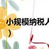 小规模纳税人税率是多少（小规模纳税人税率）