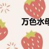 万色水母怎么停产了（万色水母）